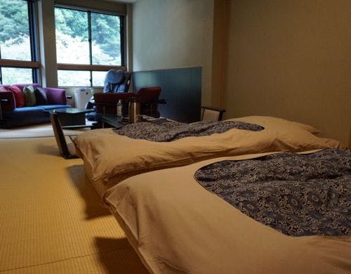 船山温泉の部屋～和室タイプC　ローベッド【12畳】ソファー付き