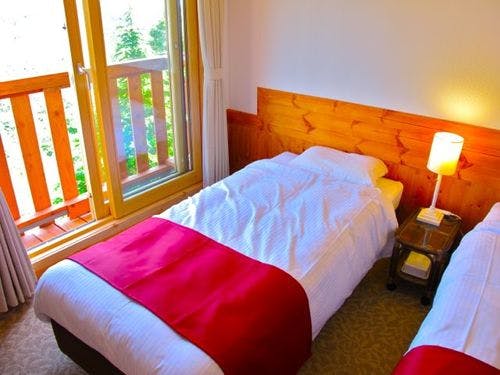 温泉山岳ホテル　アンデルマットの部屋～アルペンツイン　ペット不可