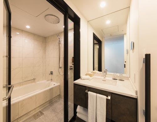 ホテルメトロポリタン 川崎の部屋～スタンダードクイーン（23平米／バス・トイレ別）