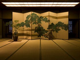 櫻湯山茱萸