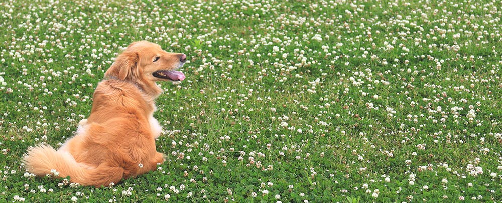 ロテル・デュ・ラク ~ウェルネスリトリート&オーベルジュ~