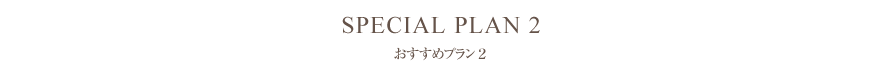 おすすめプラン1