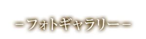 フォトギャラリー