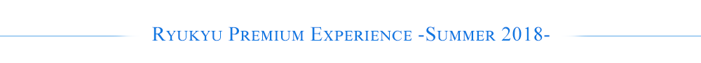 Premium Summer Experience 2017