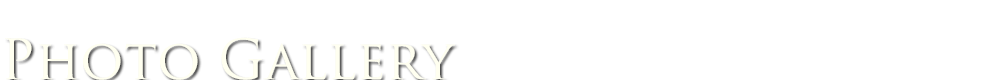 フォトギャラリー
