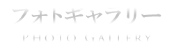 フォトギャラリー